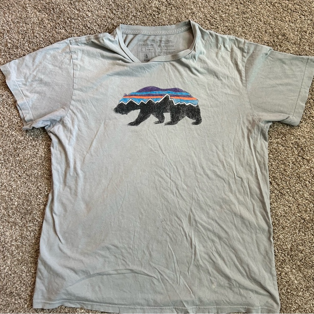 Patagonia Men's Gray Graphic T-Shirt slim fit sz L 100% cotton